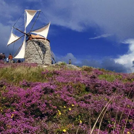 Sossego Da Lata * Fafe