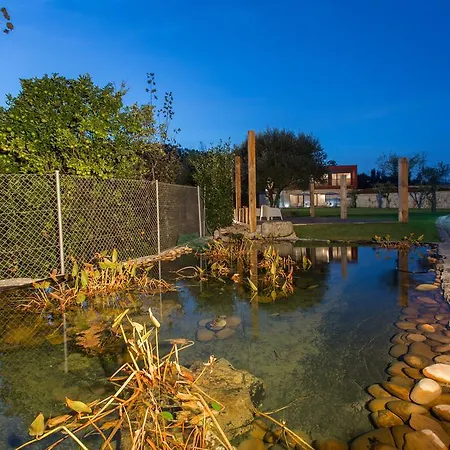 Sossego Da Lata * Fafe