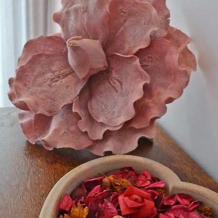 卡萨坎普索赛格达拉塔乡村民宿 乡村民宿 *