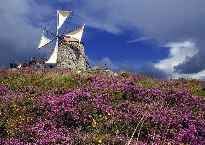 Sossego Da Lata * Fafe