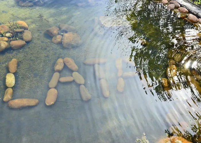 Sossego Da Lata Fafe